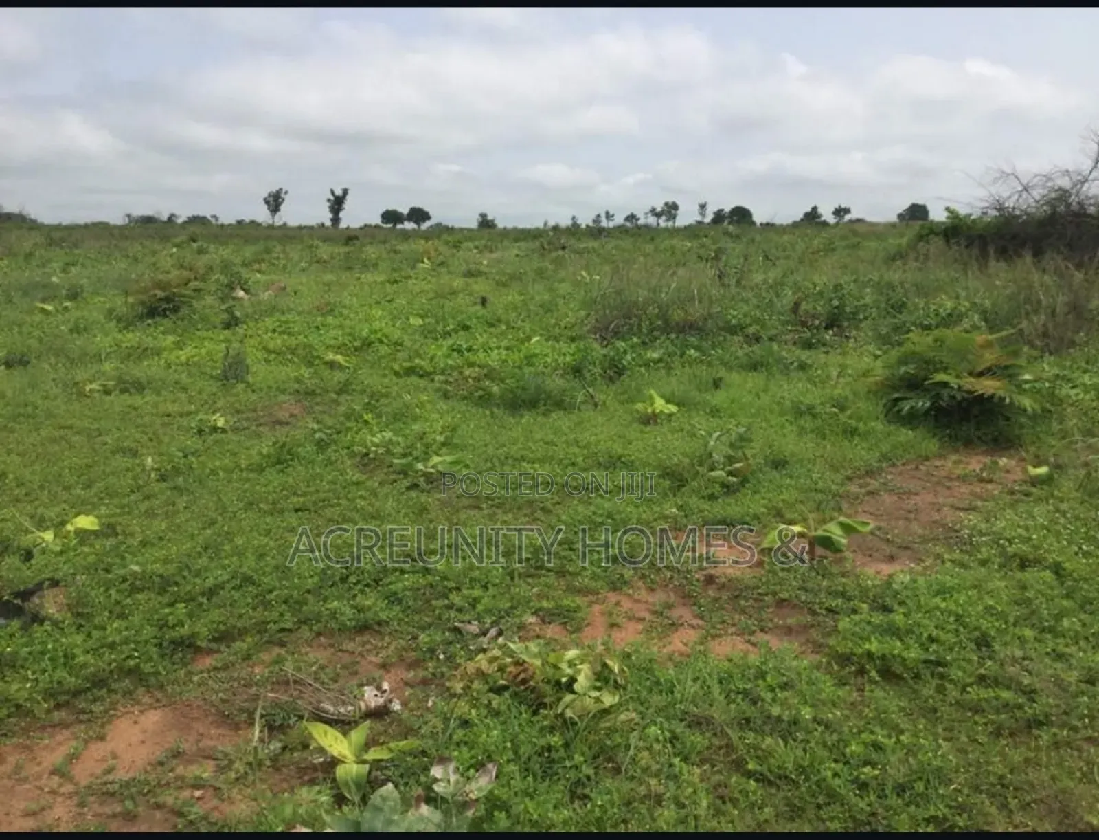 1400 Acres of Farmland for Sale at Odo Ose Village, Ijio, Iwajowa Lg
