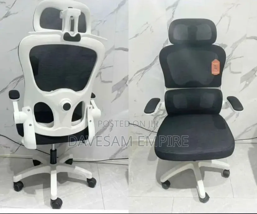 Healthy Executive Ergonomic Office Mesh Chair