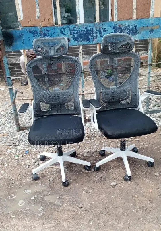 Executive Ergonomic Office Chair With Adjustable Head Rest ( Each