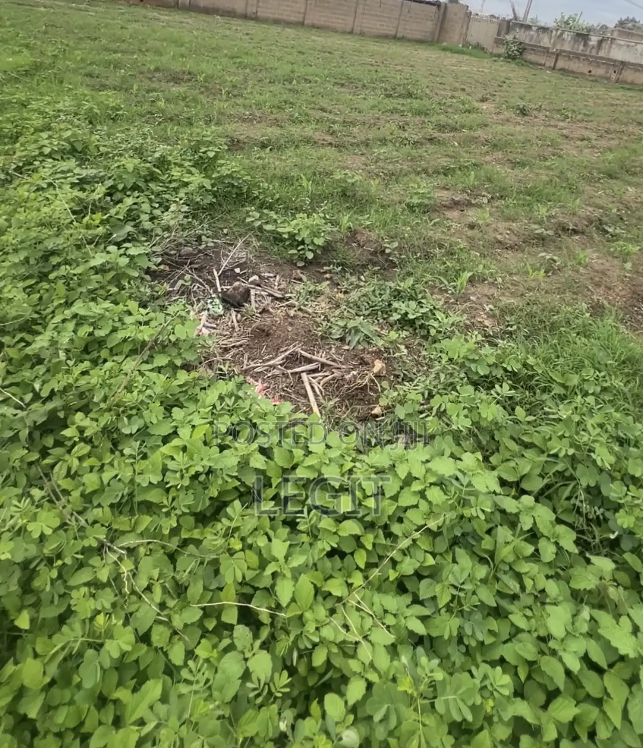 1888sqm With C of O