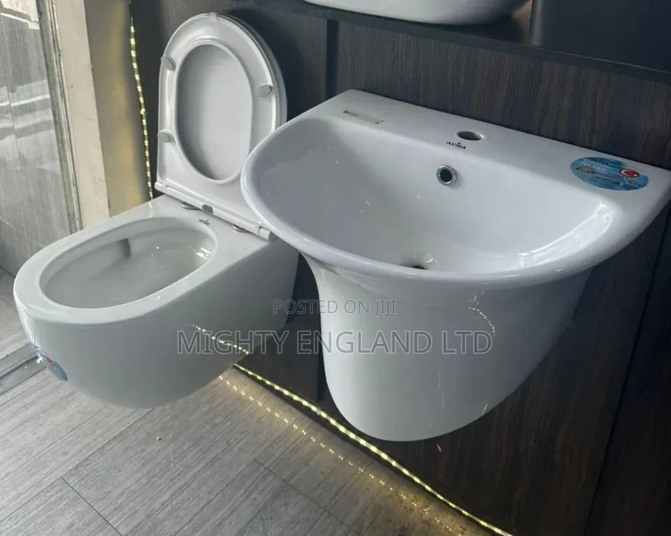 Wall-Hung Sanitary Set With a Curved Avida Basin a Matching Toilet