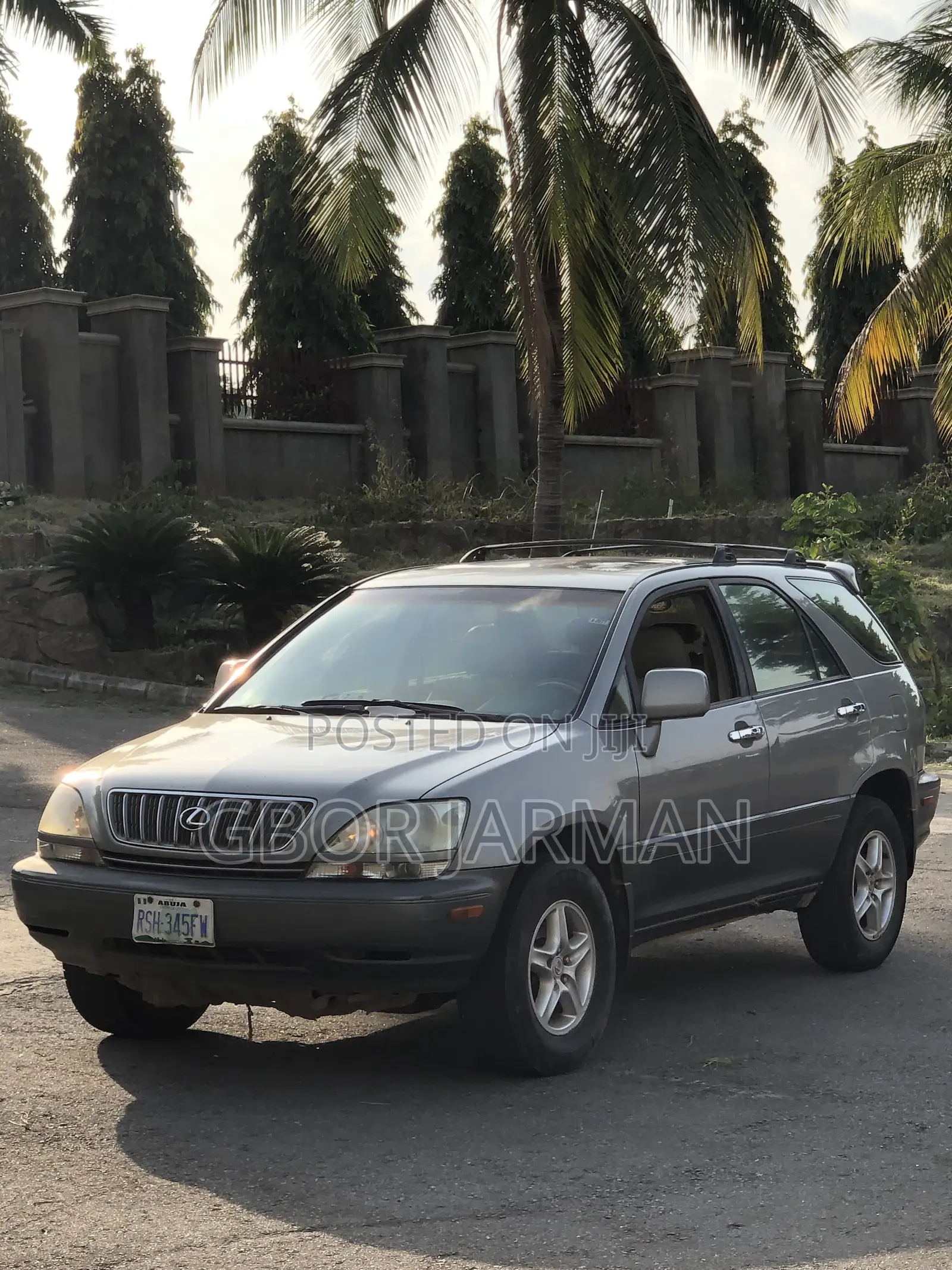 Lexus RX 2002 Brown