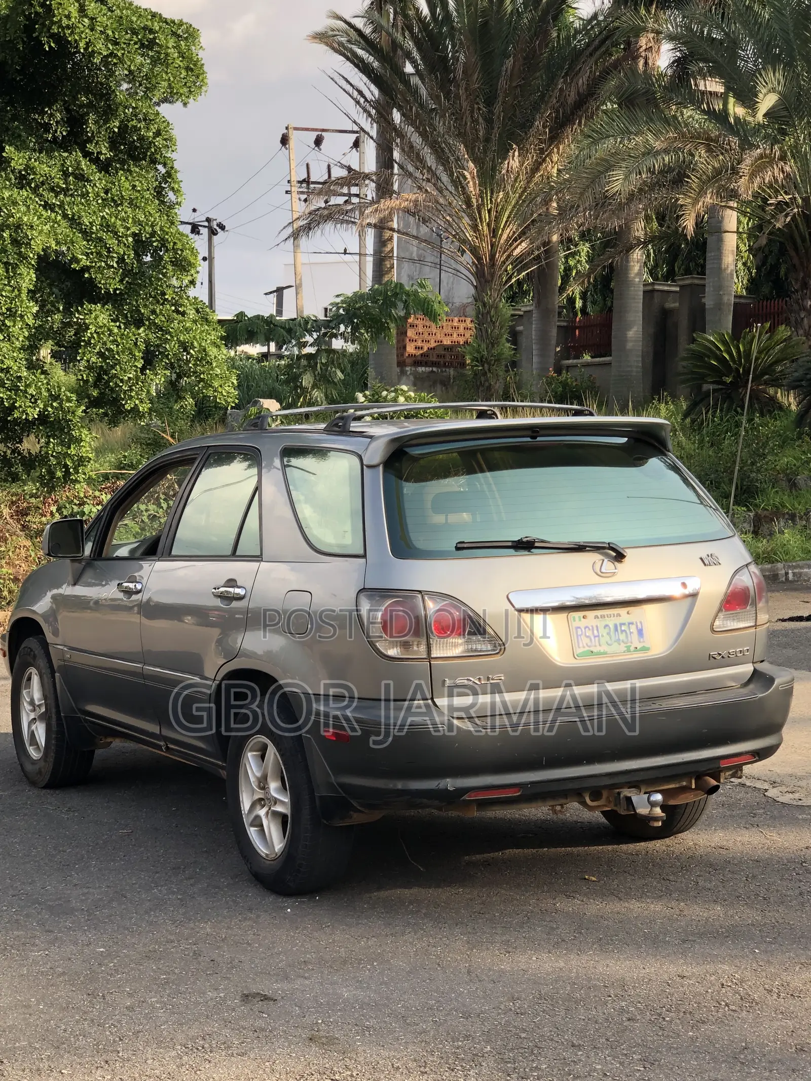 Lexus RX 2002 Brown