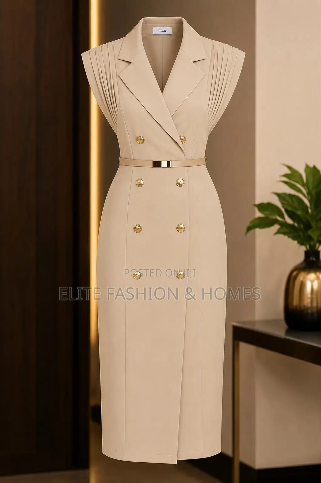 Elegant Women’S Premium Dress Stylish Sophisticated