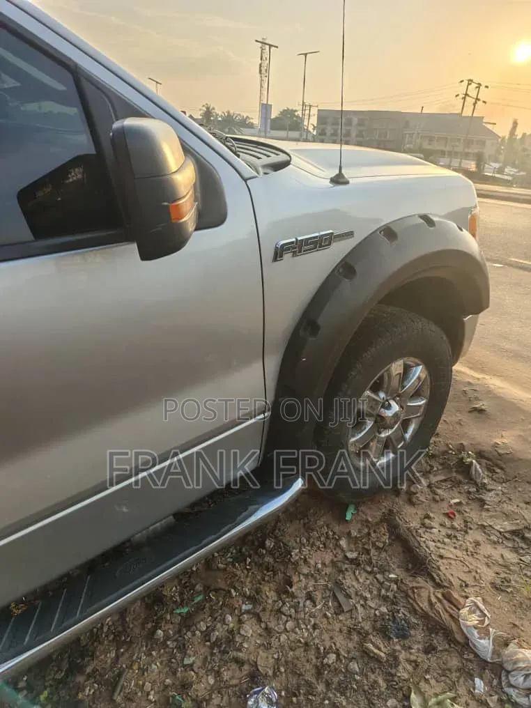 Ford F-150 2013 Silver