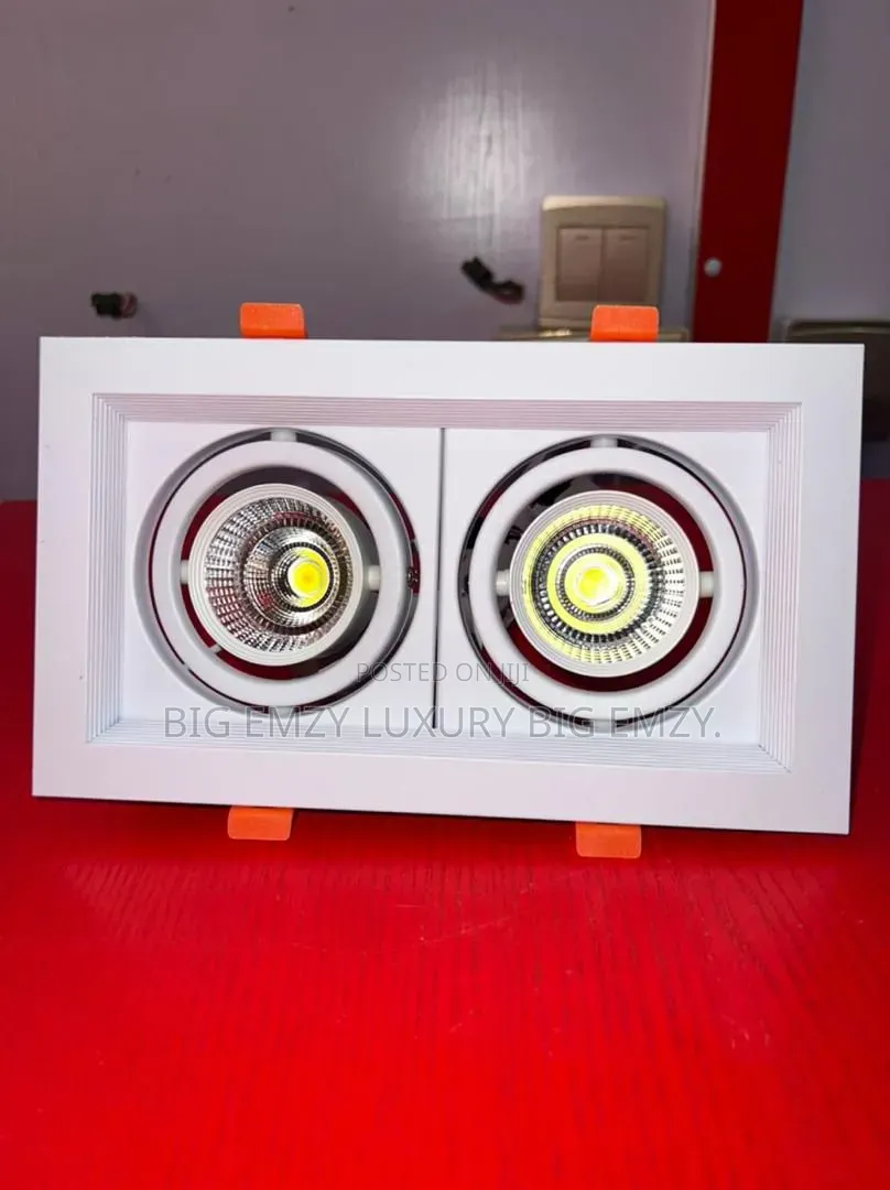 Double-Head Recessed Led Downlight or Pop Spot Light.