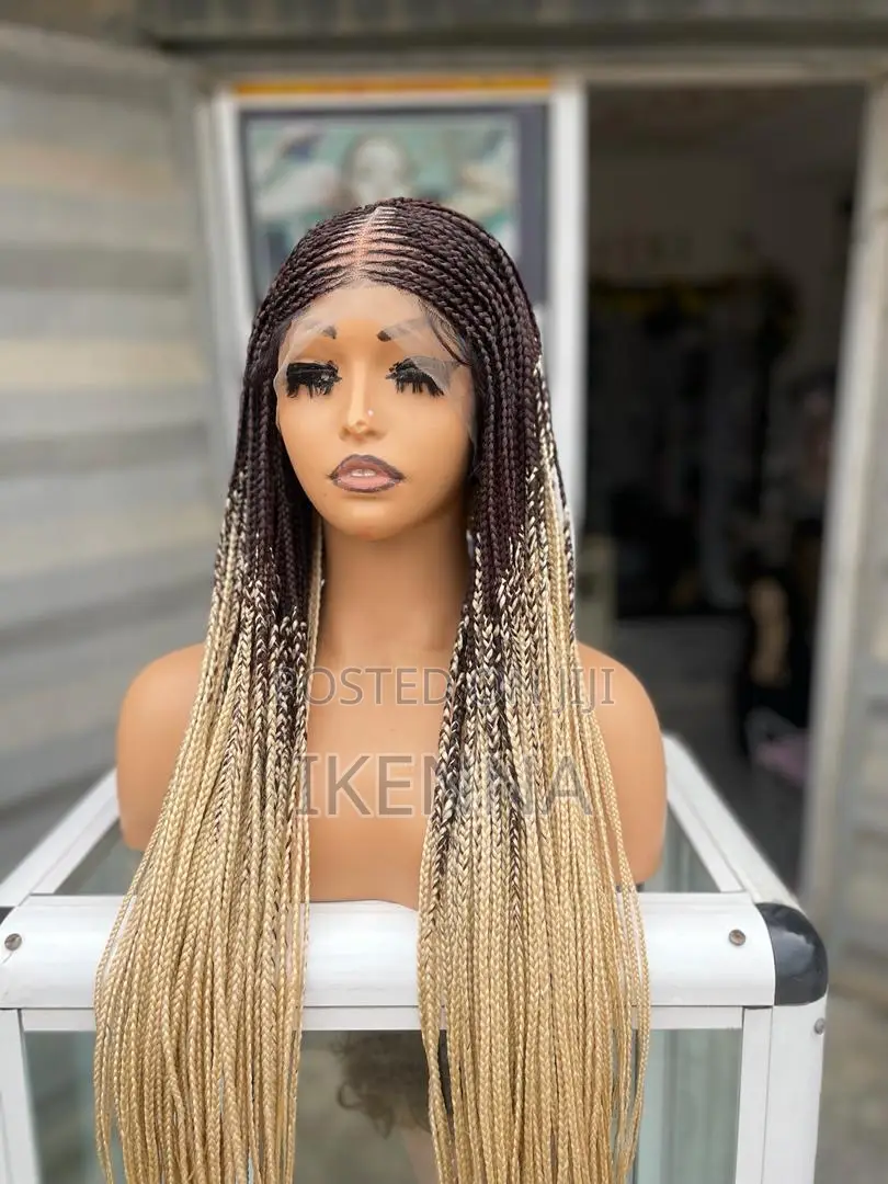 Long Braided Wig With a Full Frontal