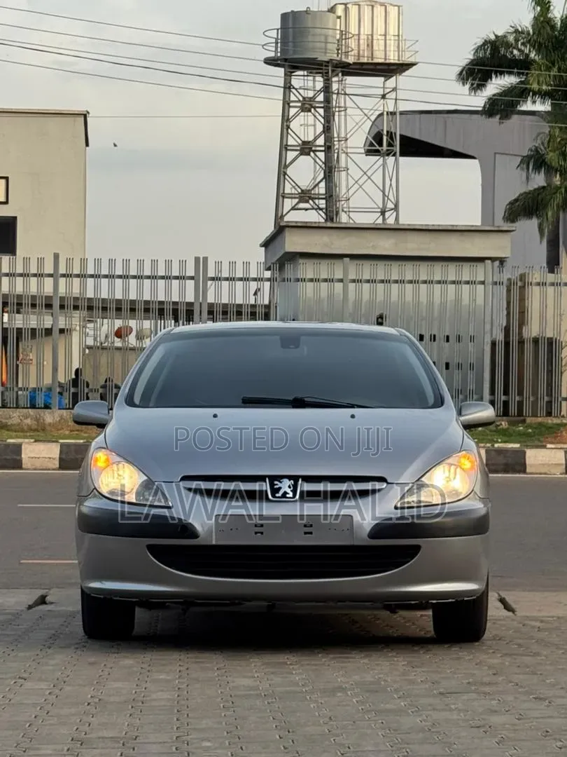 Peugeot 307 2005 Silver