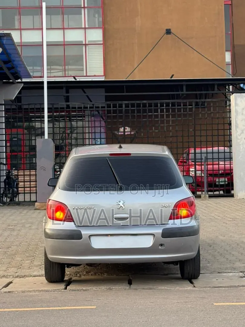 Peugeot 307 2005 Silver