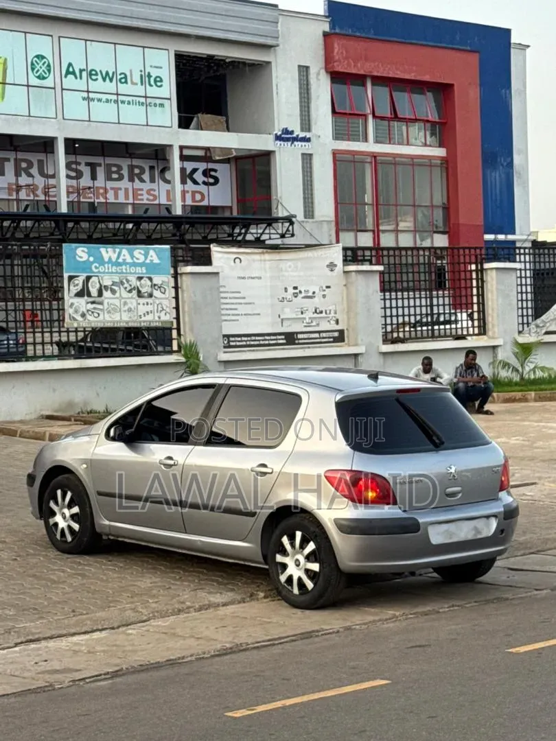 Peugeot 307 2005 Silver