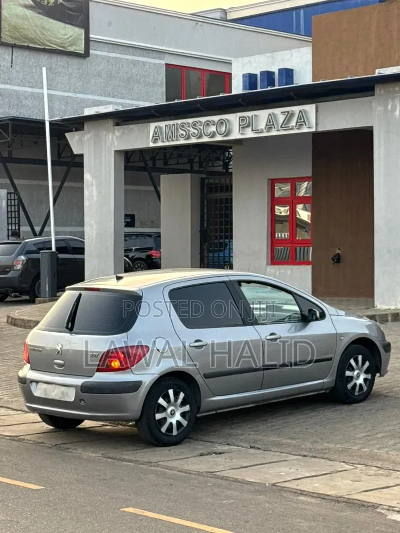 Peugeot 307 2005 Silver