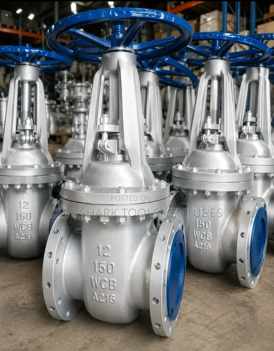 12-"Inch Class 150 Gate Valves WCB Cast Carbon Steel.
