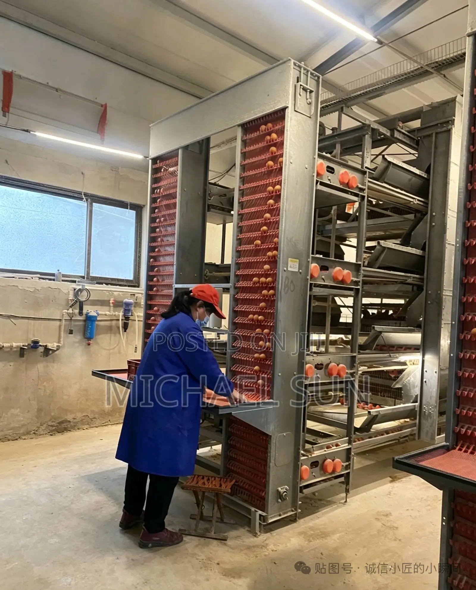 China Factory Battery Cage Poultry Farming Cages