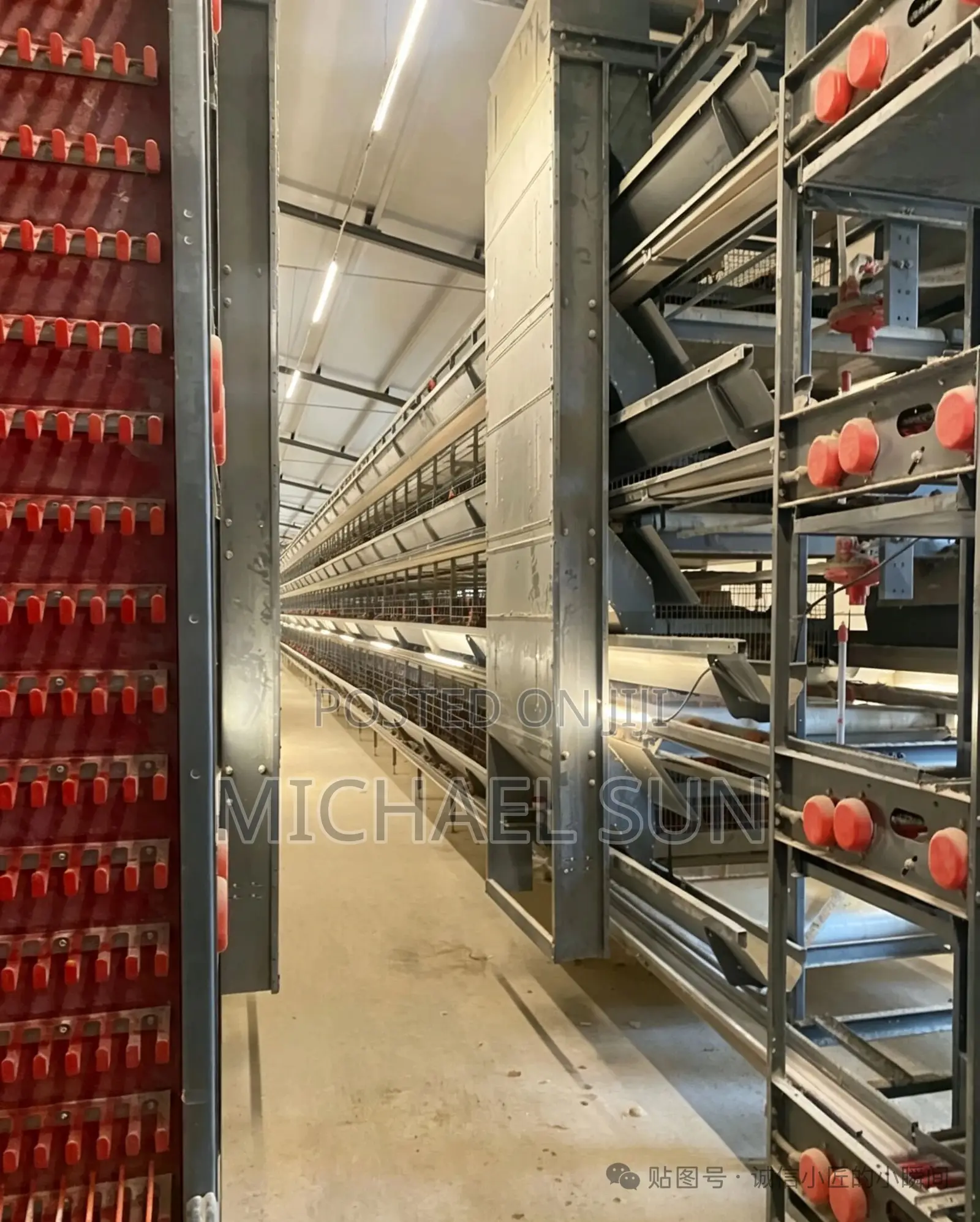 China Factory Battery Cage Poultry Farming Cages