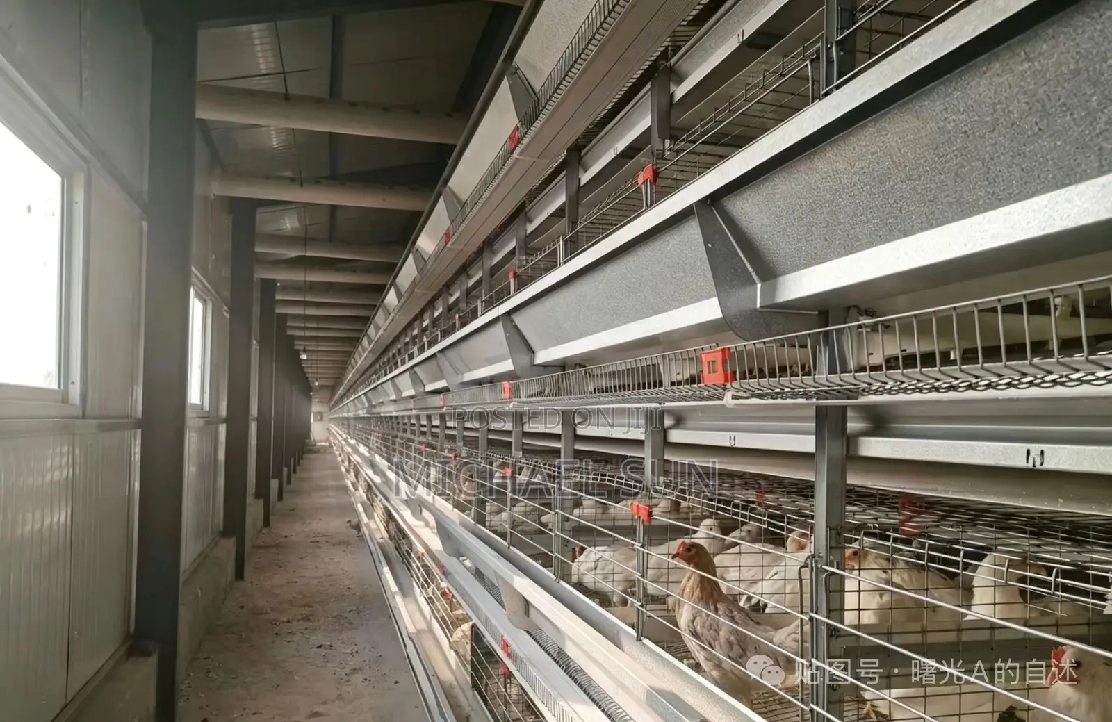 China Factory Battery Cage Poultry Farming Cages