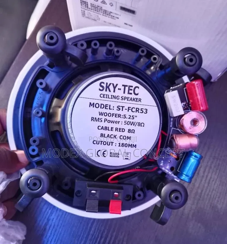 Sky-Tec St-Fcr53 Ceiling Speaker