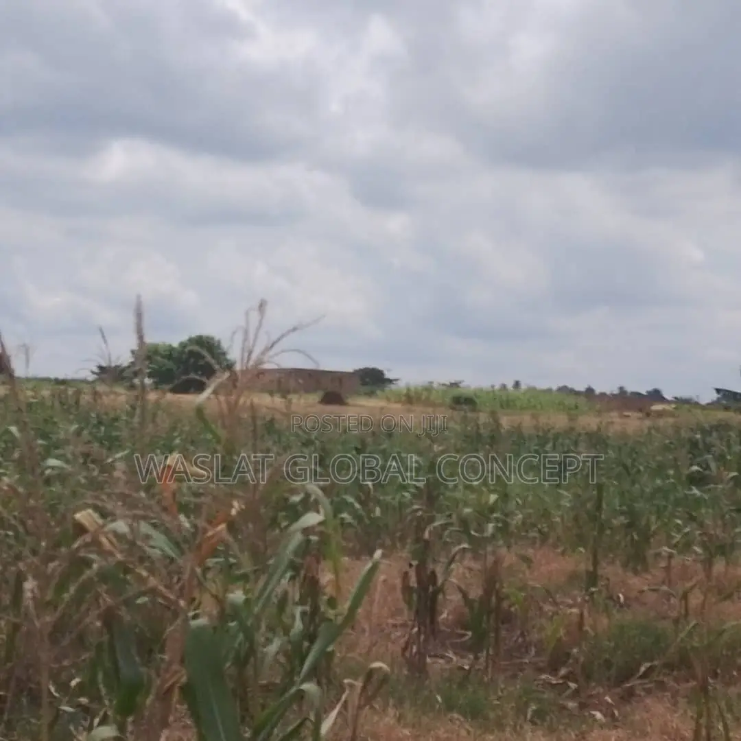 Plots of Land at Omoluabi Estate, Along Ikirun Road, Osogbo