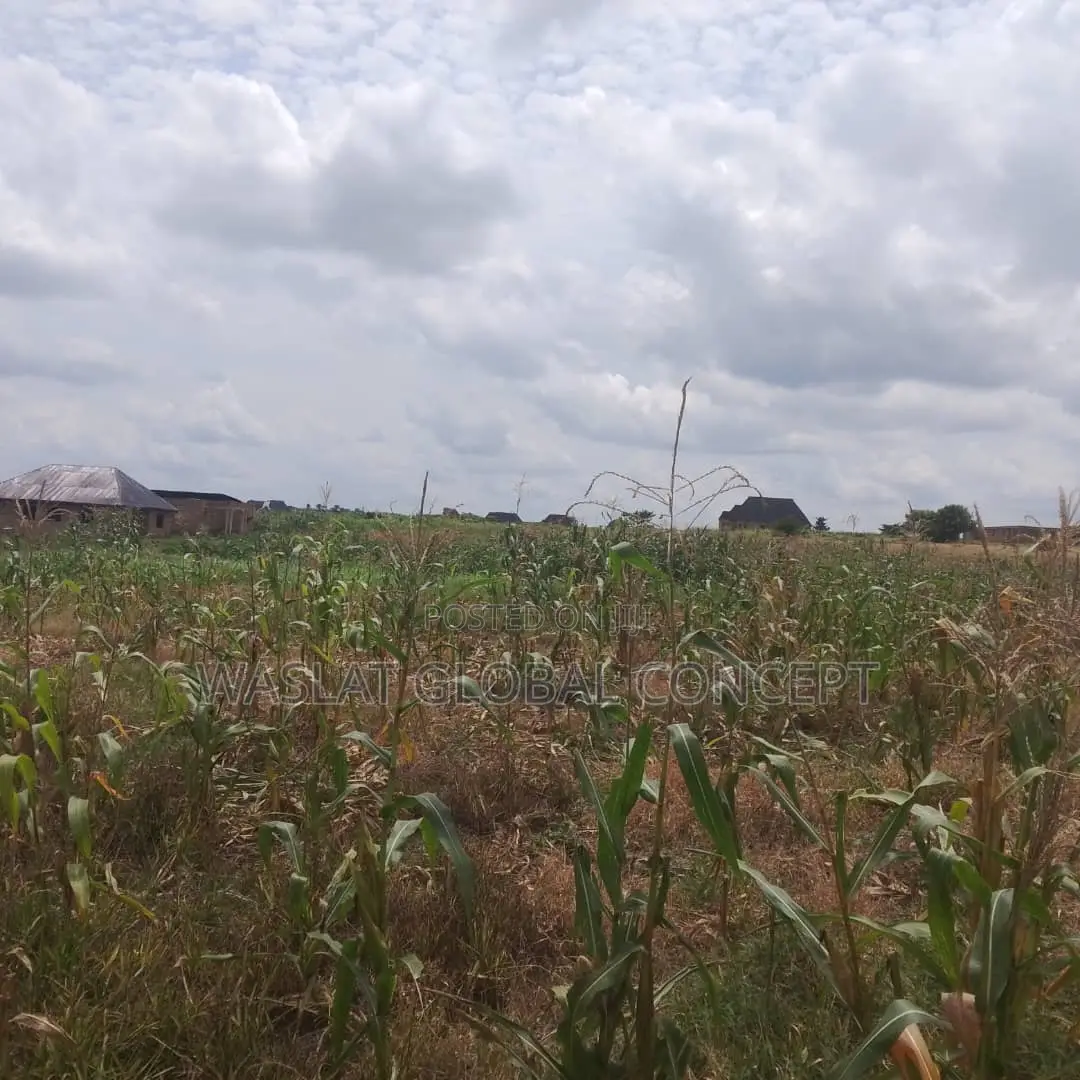 Plots of Land at Omoluabi Estate, Along Ikirun Road, Osogbo