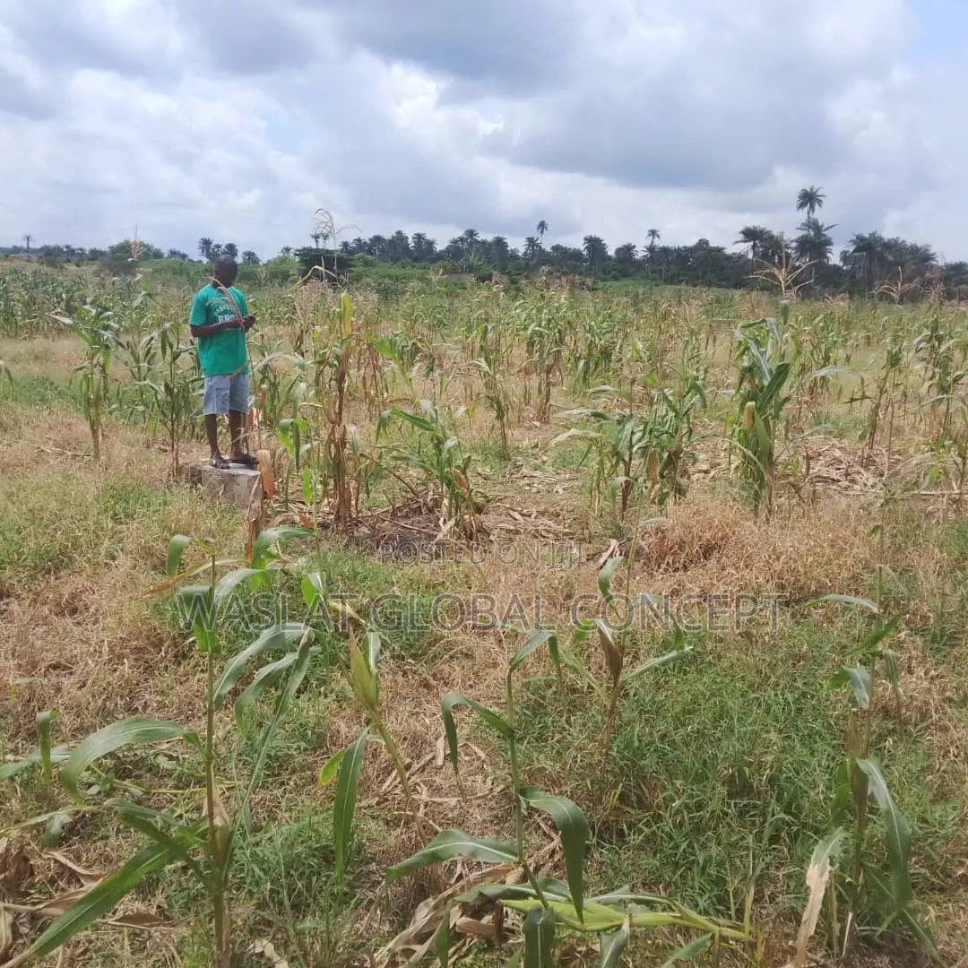 Plots of Land at Omoluabi Estate, Along Ikirun Road, Osogbo