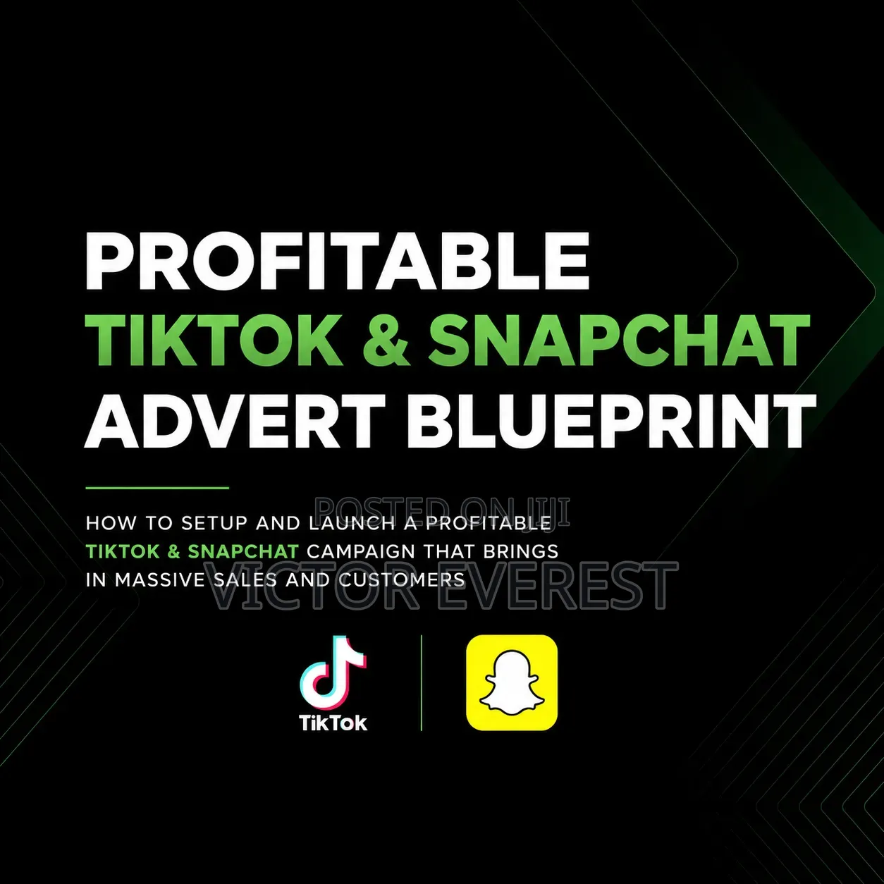 Learn How to Sell Massively With Tiktok Snapchat Advert