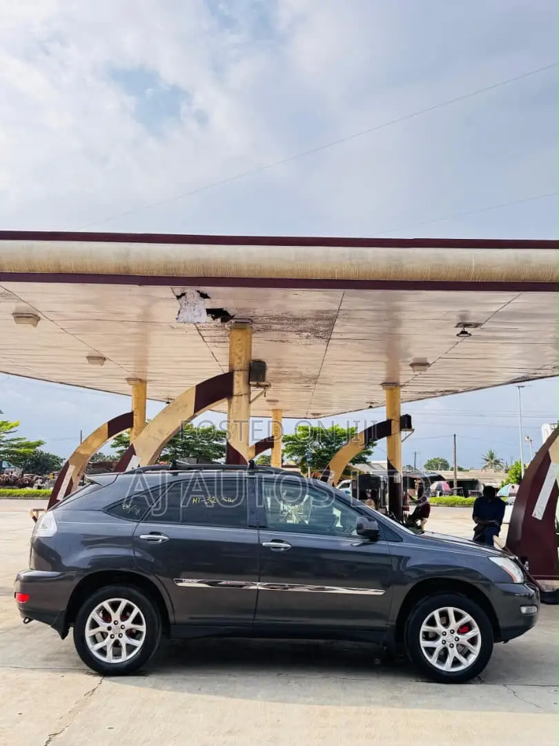 Lexus RX 350 AWD 2009 Gray