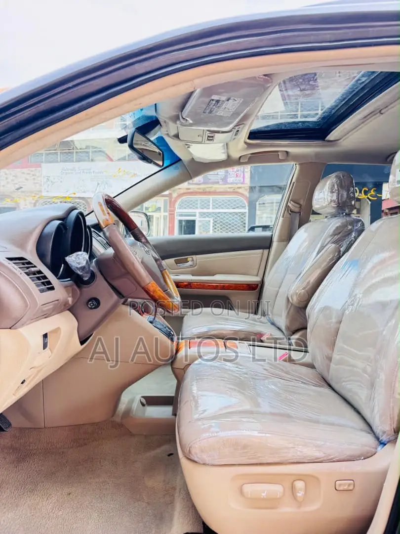 Lexus RX 350 AWD 2009 Gray