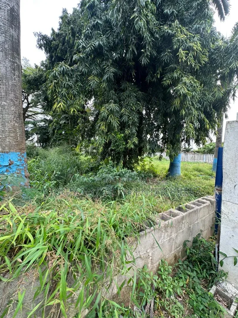 Commercial Land 2009 Square Metre Lateef Jakande Road Agidingbi