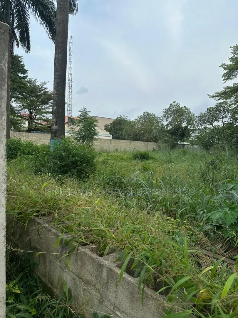 Commercial Land 2009 Square Metre Lateef Jakande Road Agidingbi