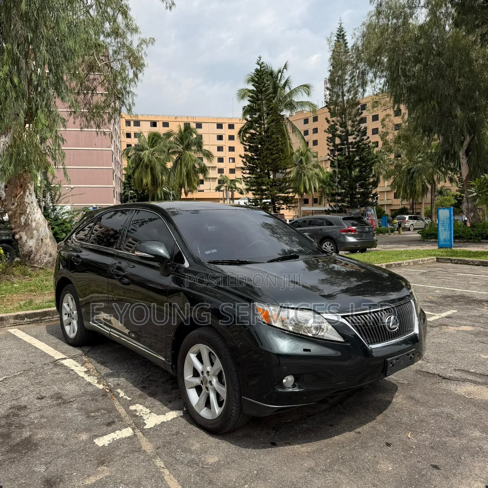 Lexus RX 2010 Black