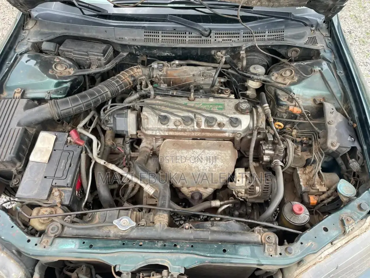 Honda Accord 2000 Green