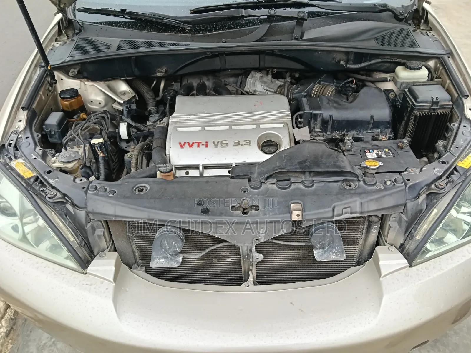 Lexus RX 2005 Gold