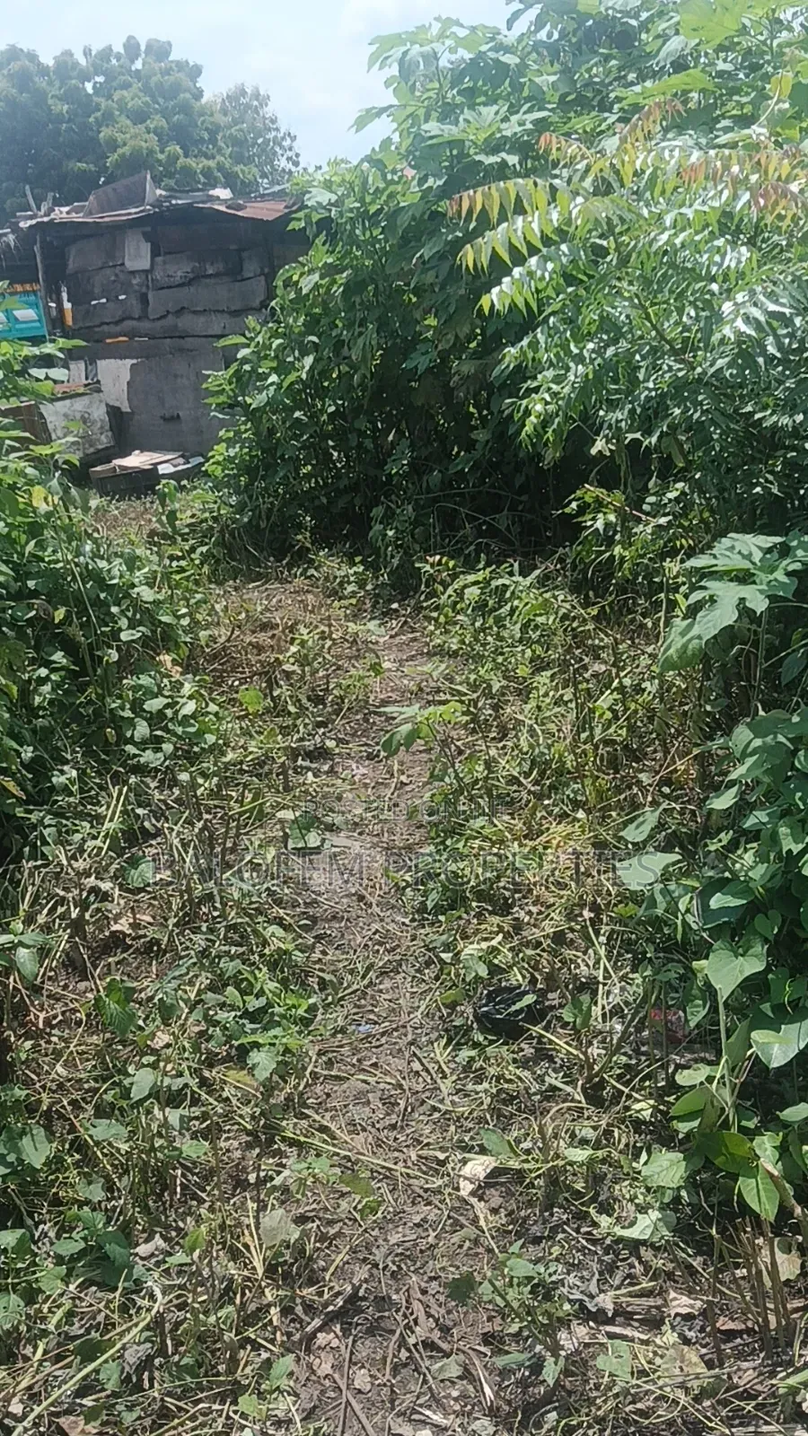 Commercial Land for Sale