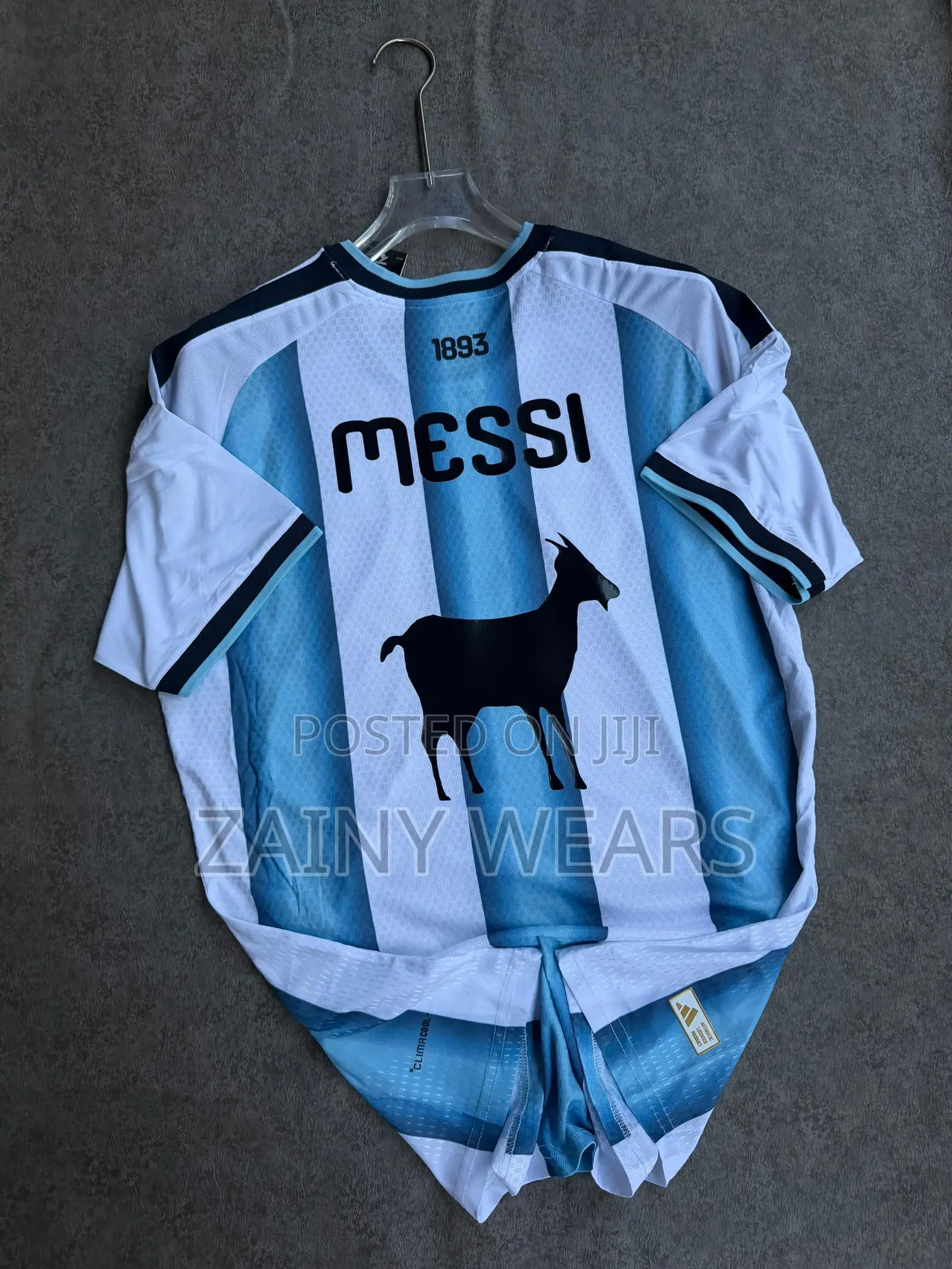 Argentina 2026/2030 Fifa World Cup Jersey. Player Version