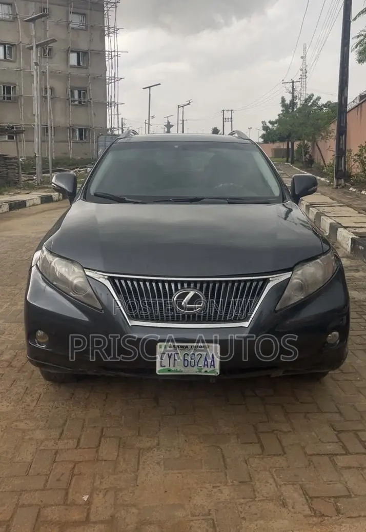 Lexus RX 2011 Gray