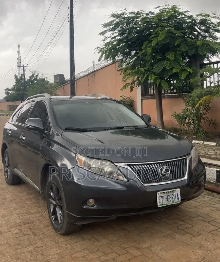 Lexus RX 2011 Gray