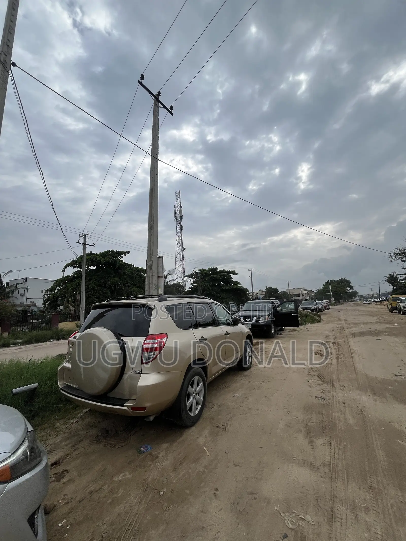 Toyota RAV4 2010 Gold