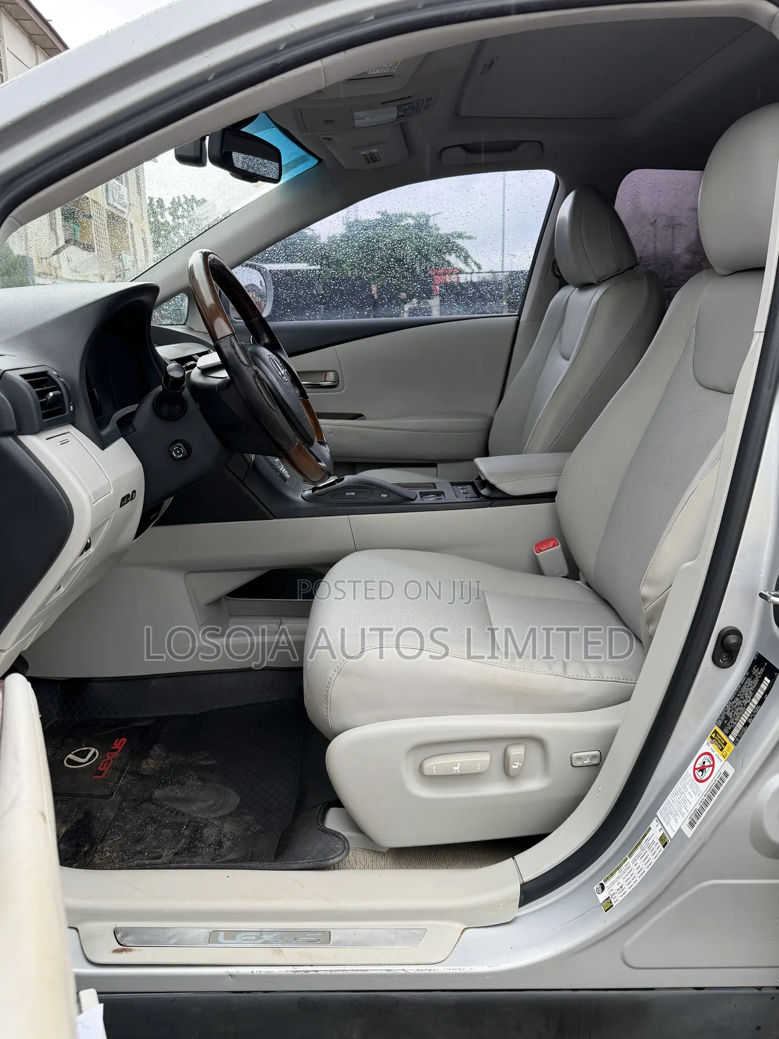 Lexus RX 350 2010 Silver