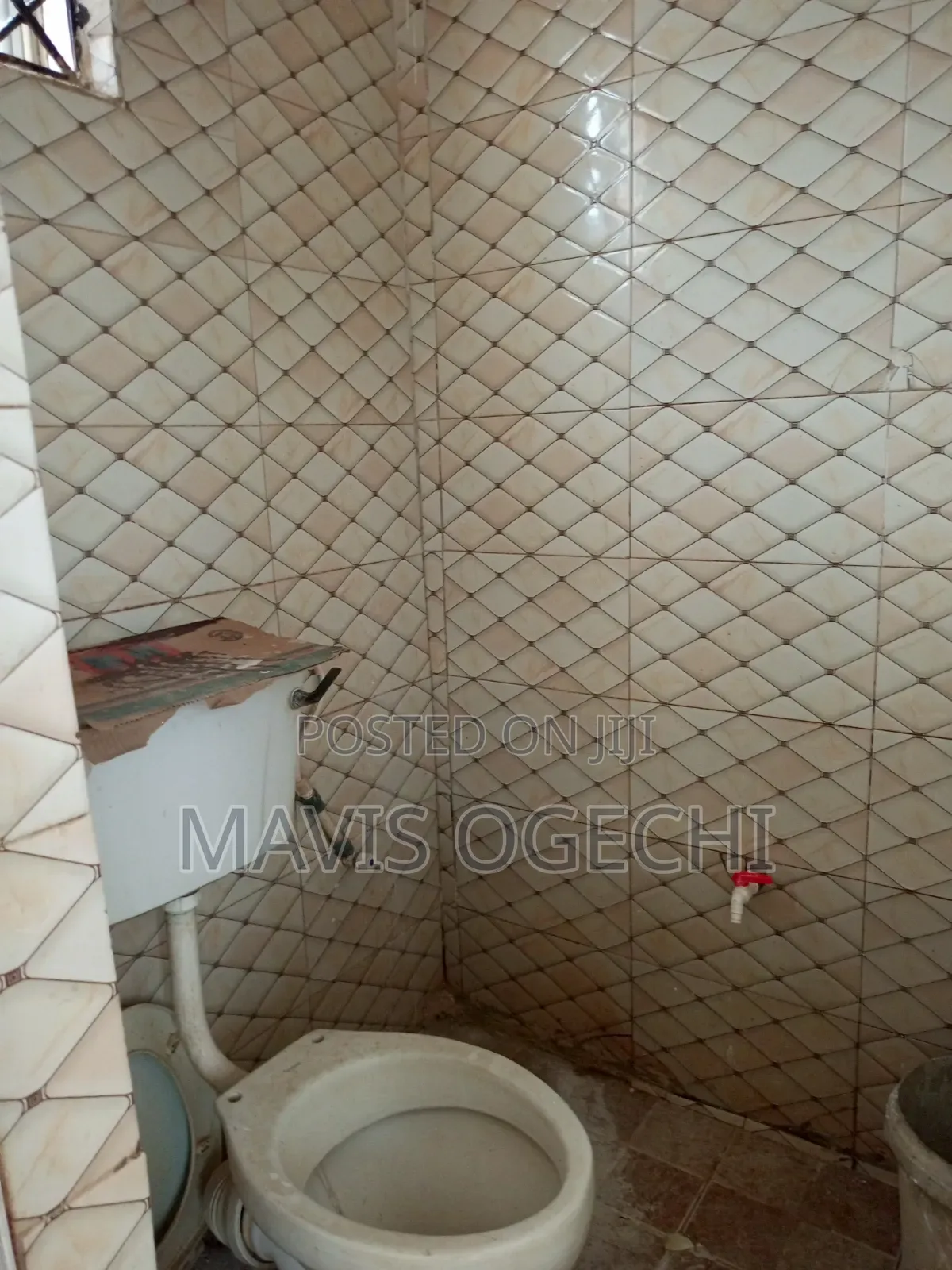 Furnished Mini Flat in Rugar Madaki After for rent