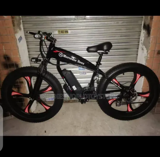 Electric Adult Bicycle