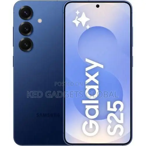 Samsung Galaxy S25 256 GB