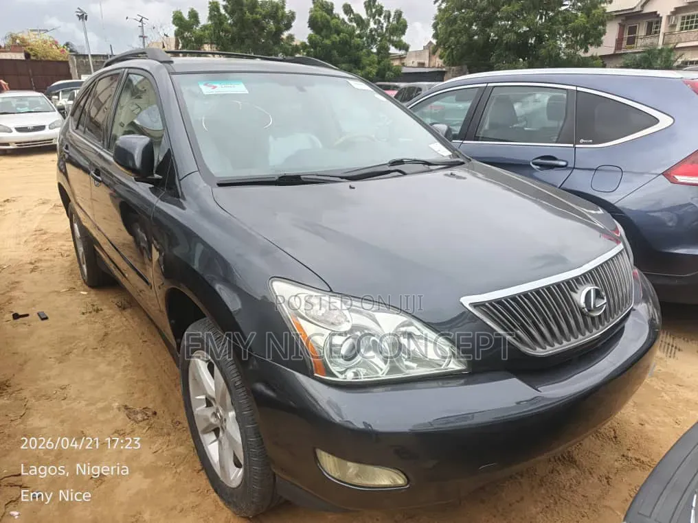 Lexus RX 330 2005 Gray