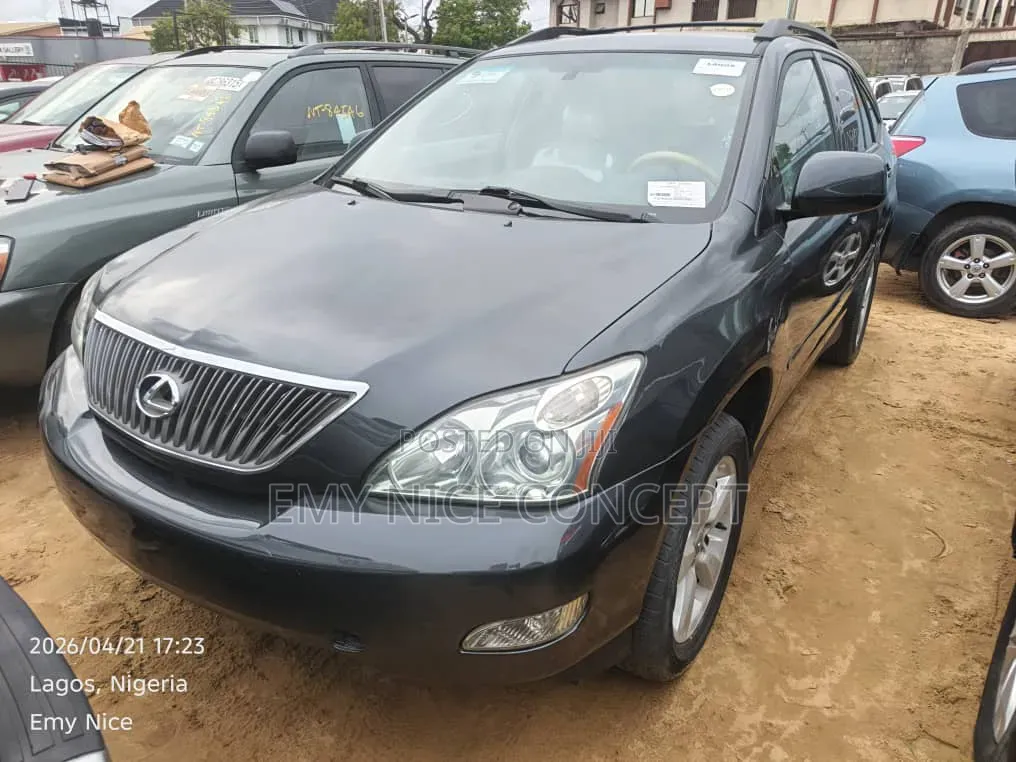 Lexus RX 330 2005 Gray