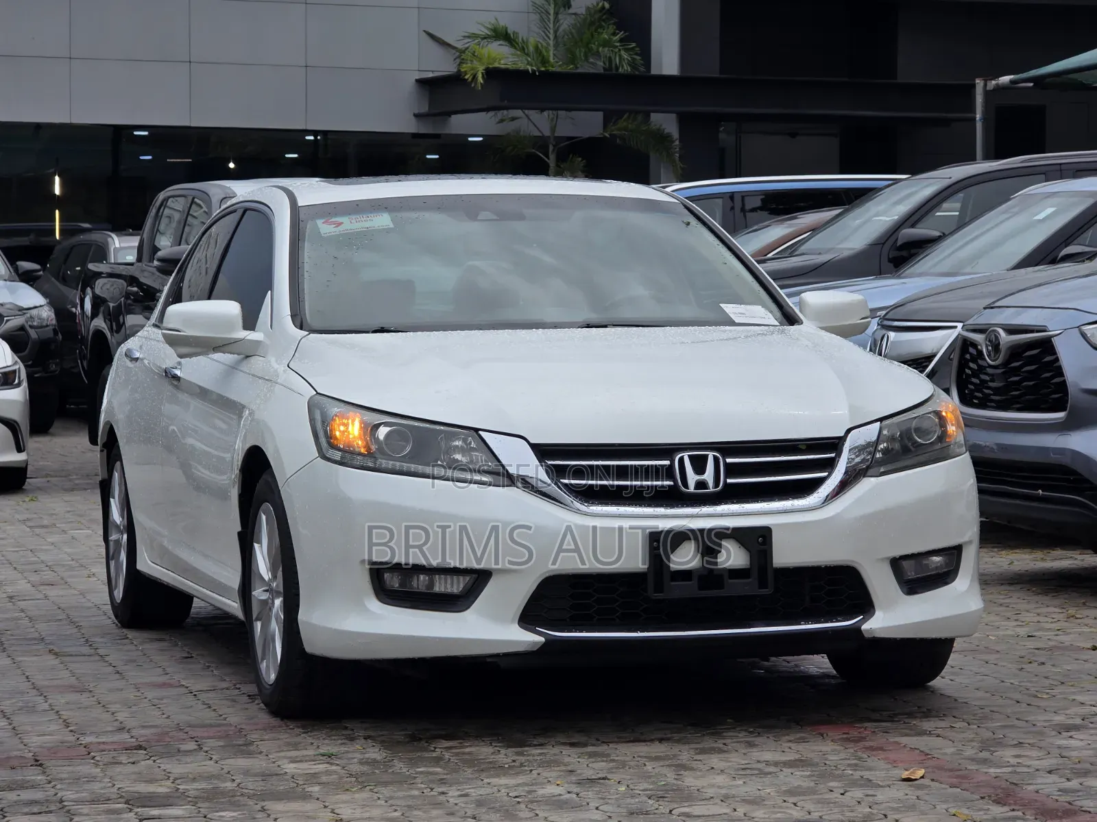 Honda Accord 2013 White