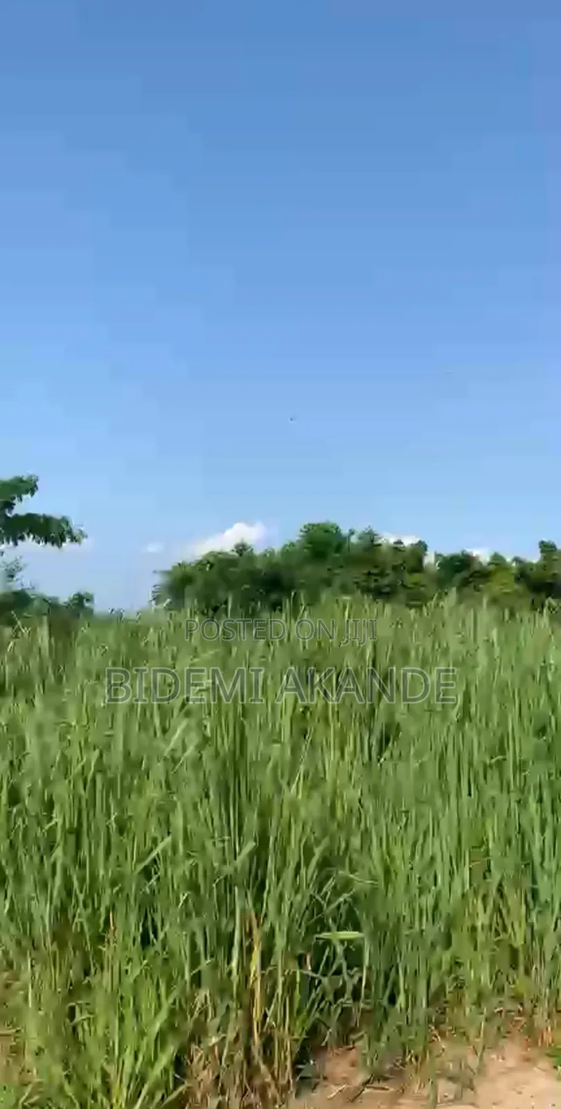 Full Plot for Sale in Asese