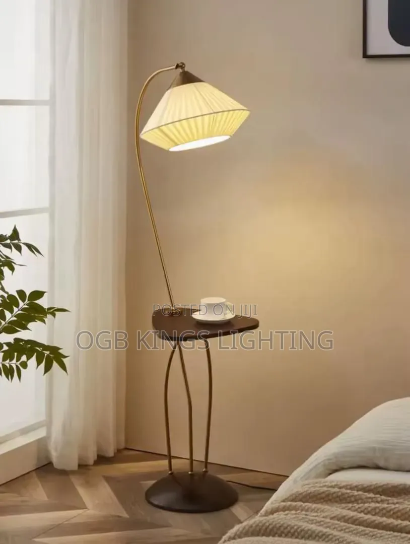 French Living Room Sofa Next to the Floor Lamp