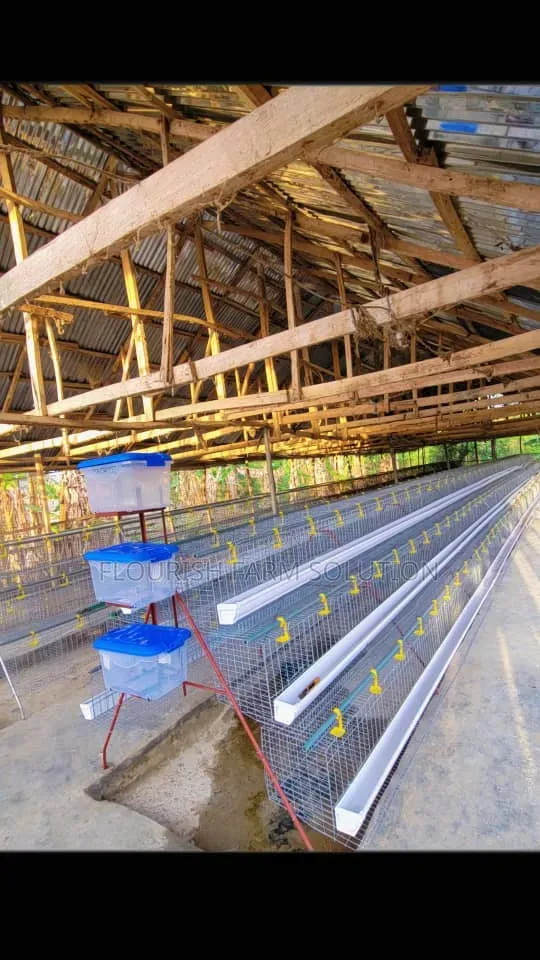 Flourish Poultry Equipment