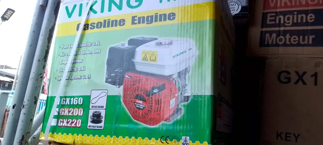 Viking Tm Gx 200 Grinding Machine 6.5 Hp