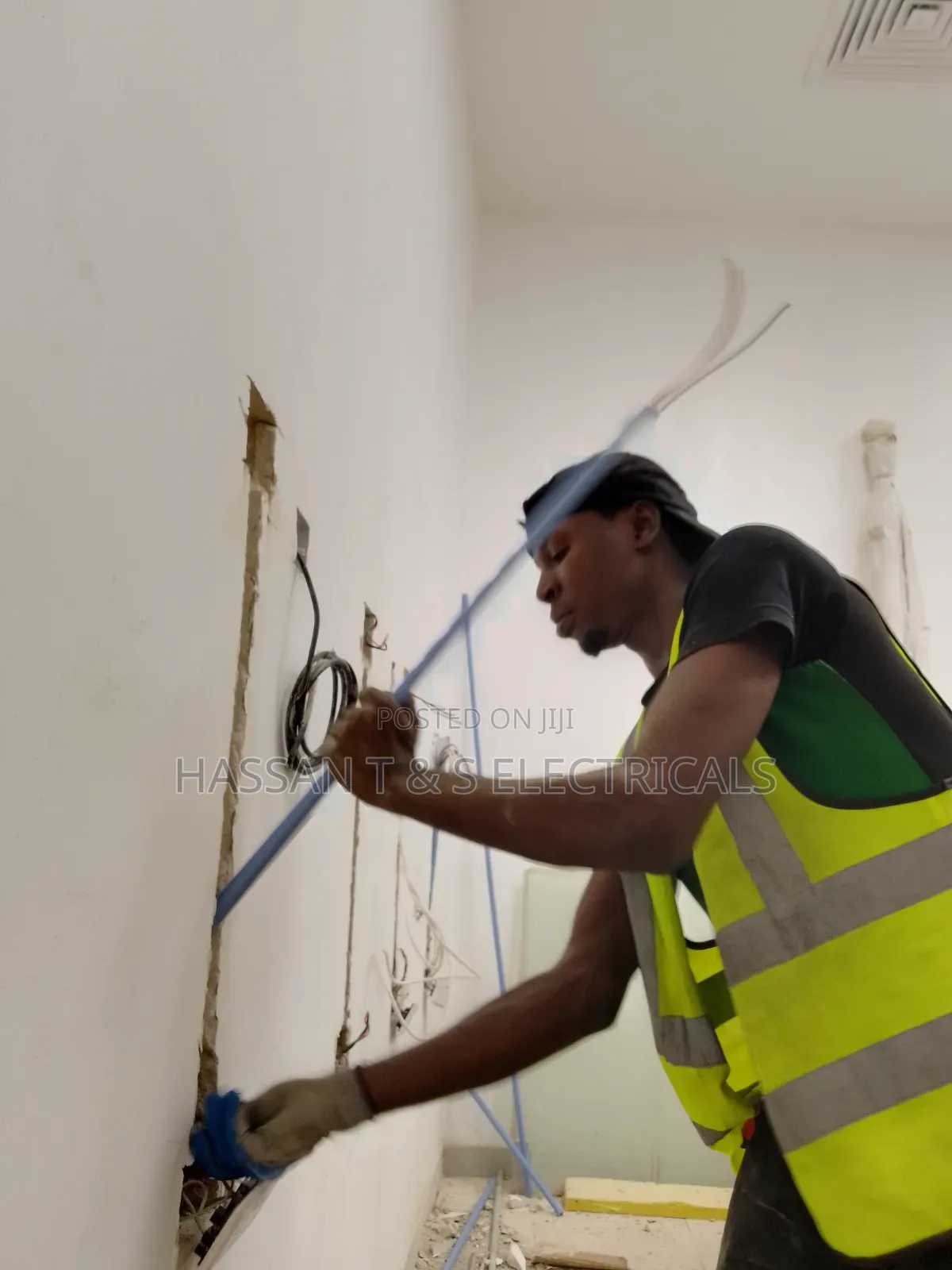 Professional Electrician