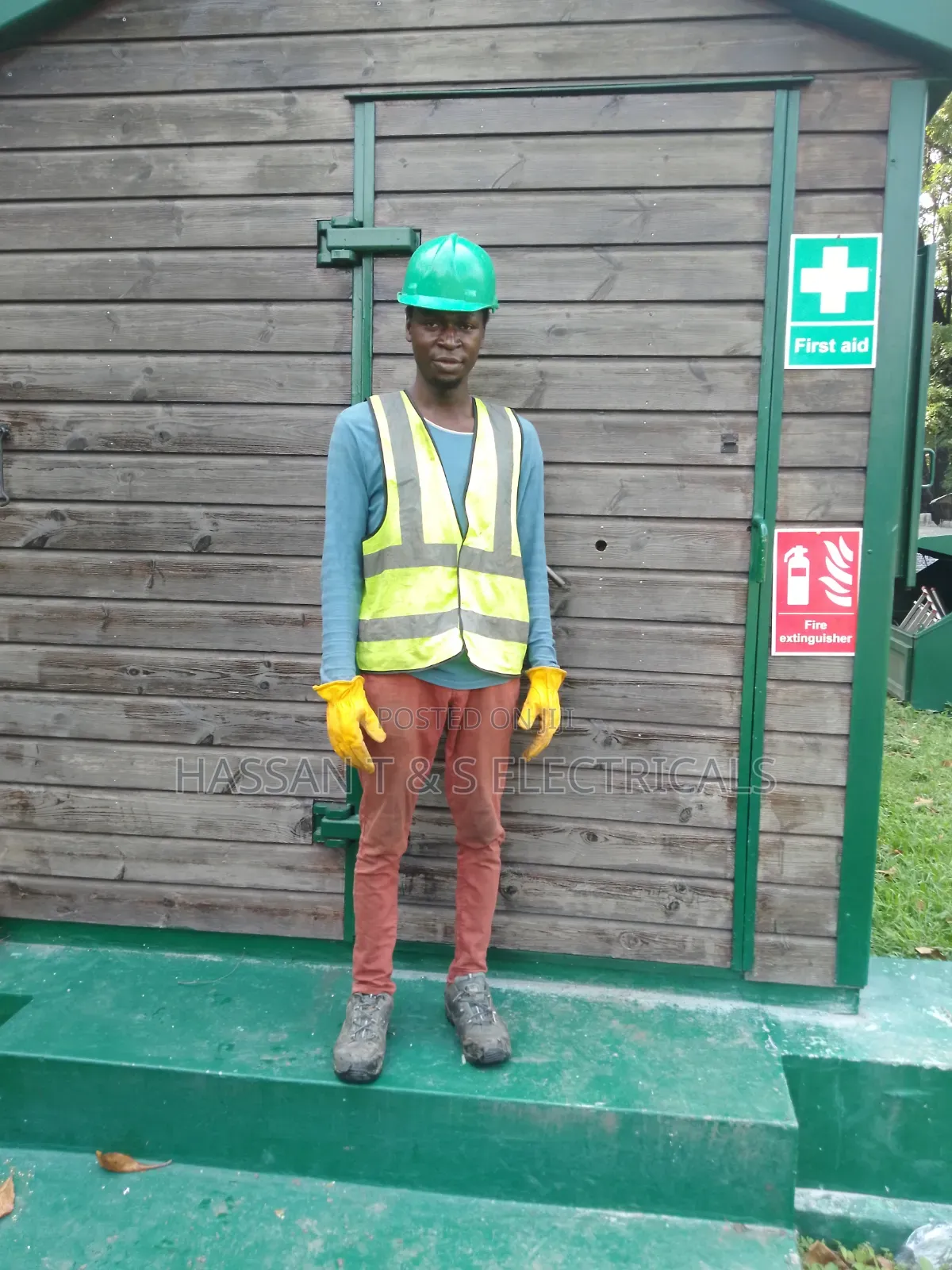 Professional Electrician