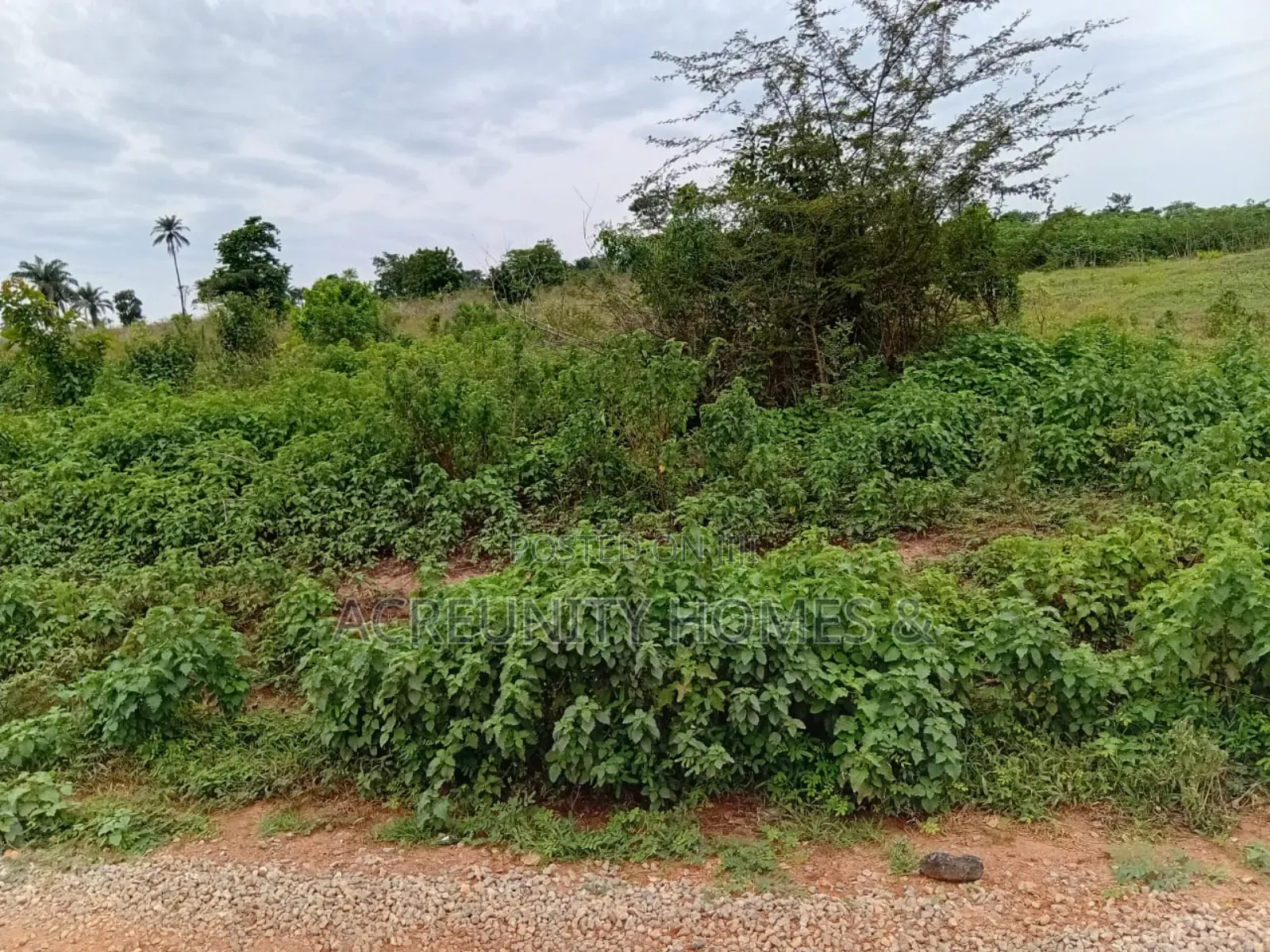 200 Acre of Commercial Land for Sale, Waasimi, Abeokuta-Iseyin Exp Way